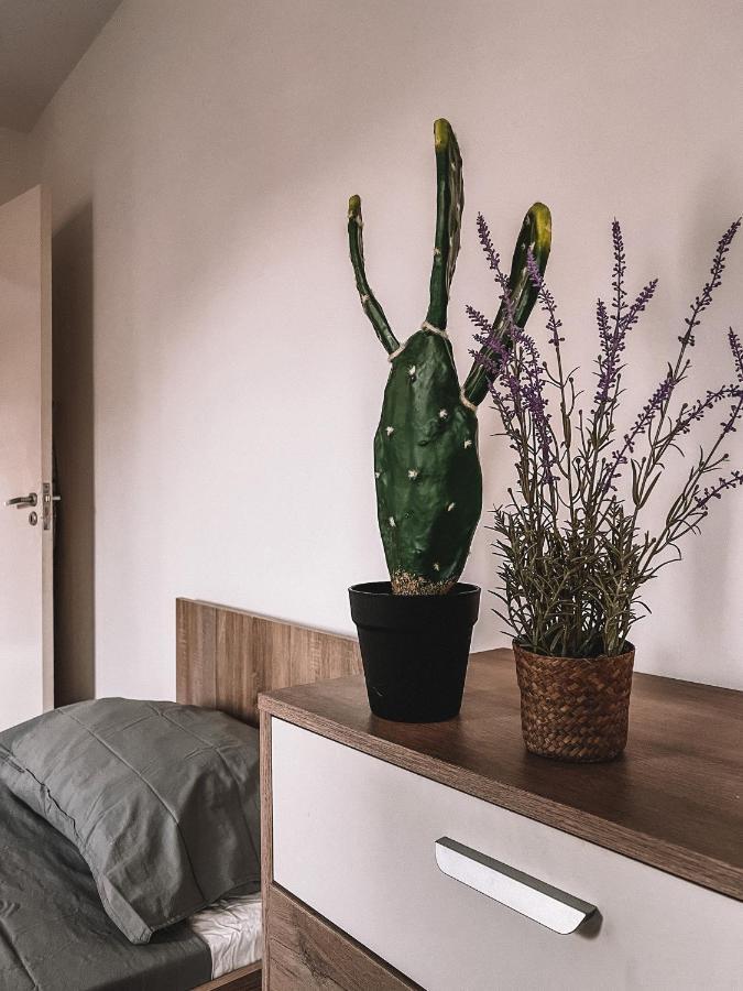 Cozy 3 Bedrooms Flat In Paceville Saint Julian's エクステリア 写真